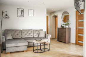 A New Day Apartment No 2, by Cohost